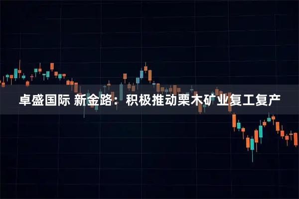 卓盛国际 新金路：积极推动栗木矿业复工复产