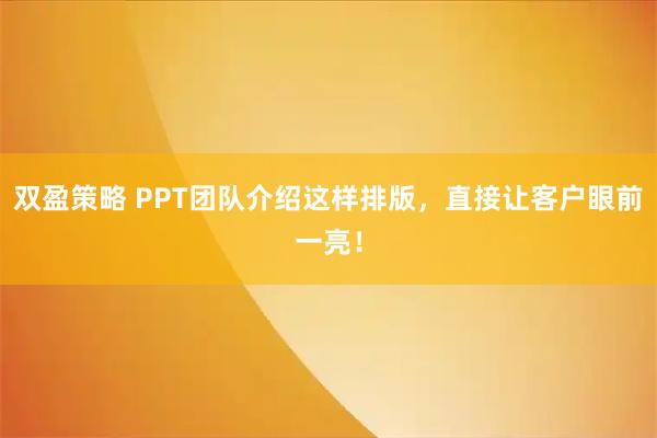 双盈策略 PPT团队介绍这样排版，直接让客户眼前一亮！