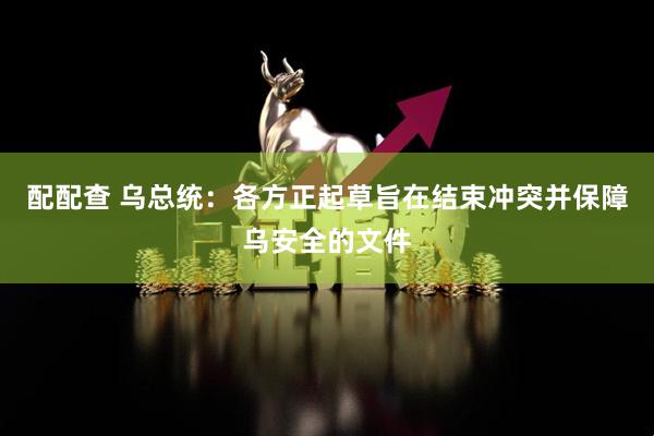 配配查 乌总统：各方正起草旨在结束冲突并保障乌安全的文件