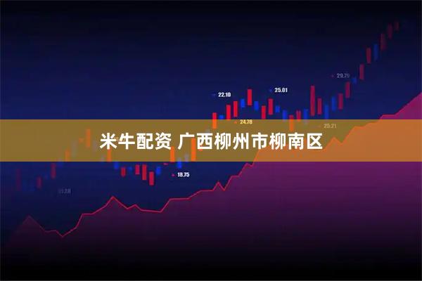 米牛配资 广西柳州市柳南区